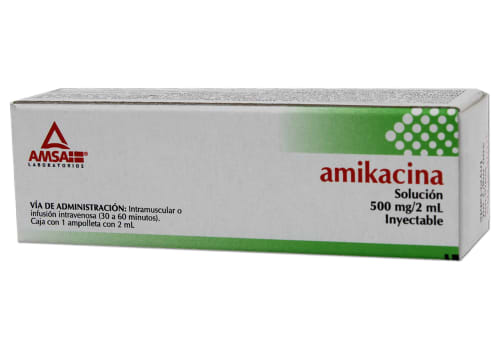 AMIKACINA IM 500MG AMP1X2 LGEN