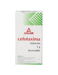 CEFOTAXIMA INY. 1G. I.M. FCO. AMP. C/PVO. Y AMP. C/4 ML.