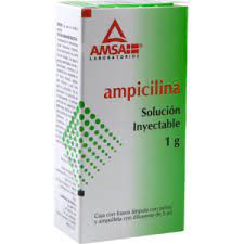 AMPICILINA 1 G SOL INY FA LGEN