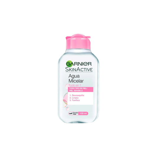 AGUA MIC GARNIER TODO-1 100ML