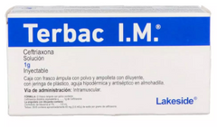 TERBAC IM 1 G SOL INY FA 5 PACK  N