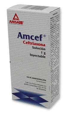 AMCEF INY. 1 G. I.V. C/1 FCO. AMP. Y 10 ML.