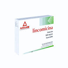 LINCOMICINA INY. 300 MG. CAJA C/6 AMP. C/1 ML.