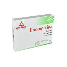 LINCOMICINA INY. 600 MG. CAJA C/6 AMP. C/2 ML.