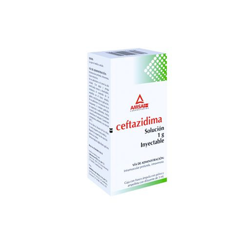 CEFTAZIDIMA 1 FA 1G/3 ML