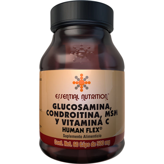 GLUC/CONDR/VIT C 500 S ALI 60CAPS